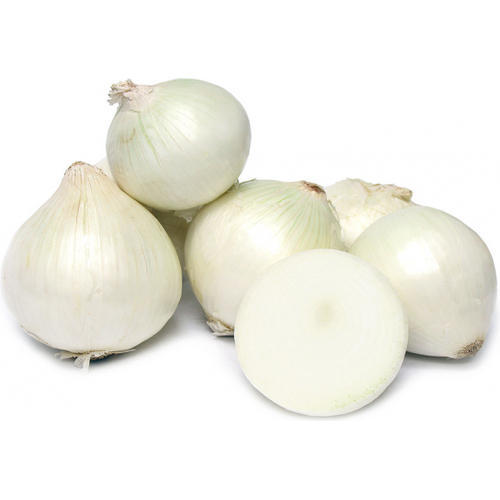 Organic Fresh White Onion, for Cooking, Fast Food, Snacks, Size : Medium