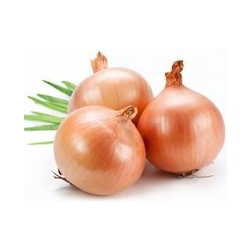 Organic Fresh Yellow Onion, for Human Consumption, Feature : Freshness, Natural Taste