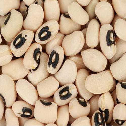 Organic Black Eyed Beans, Shelf Life : 1Years