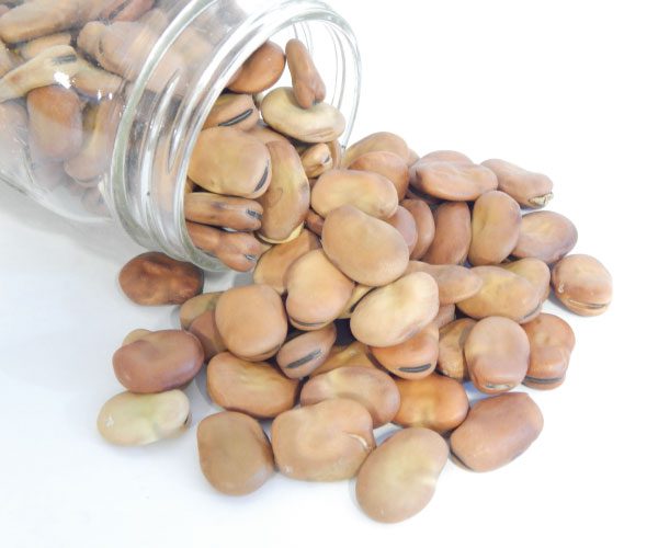 Organic Fava Beans, for Cooking, Form : Dried