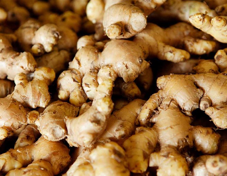 Organic Fresh Ginger, Packaging Type : Plastic Packet