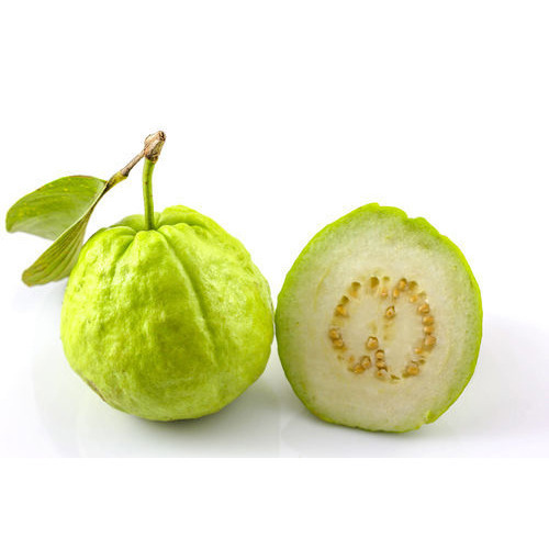 Fresh Guava, Color : Green