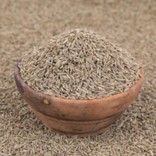 cumin seed