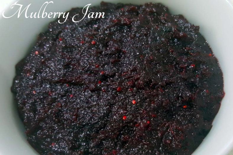 Mulberry Jam