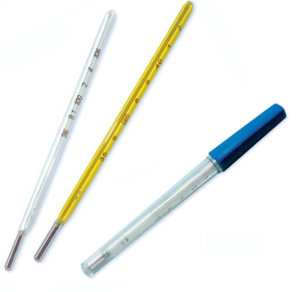 Glass Mercury Thermometer Buy glass mercury thermometer in Goa Goa India