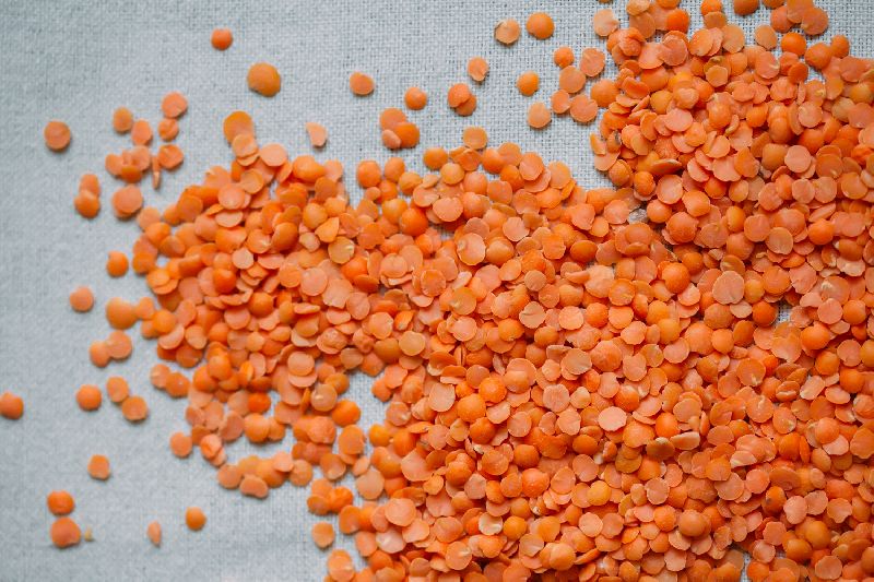 Organic Red Lentils