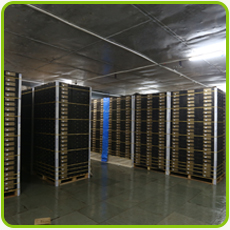 Cold Storage Services