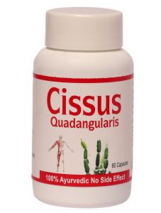 Cissus Quadangularis Capsules, for Long Shelf Life, Good Quality, Color : Green