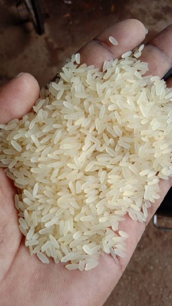 Hard Organic Non Basmati Rice, for Gluten Free, High In Protein, Packaging Type : Jute Bags, Plastic Bags