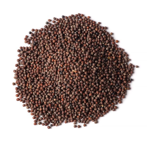 Brown Mustard Seeds, Packaging Type : Pouches