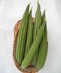 Organic Sponge Gourd, OM777, for Cooking, Packaging Type : Mesh PP Bag