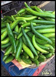 Sponge Gourd