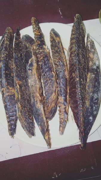 Lsshadeep tuna Smocki dry fish