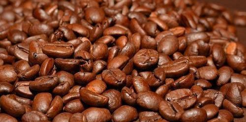 Organic Arabica Coffee Beans, Packaging Type : Loose