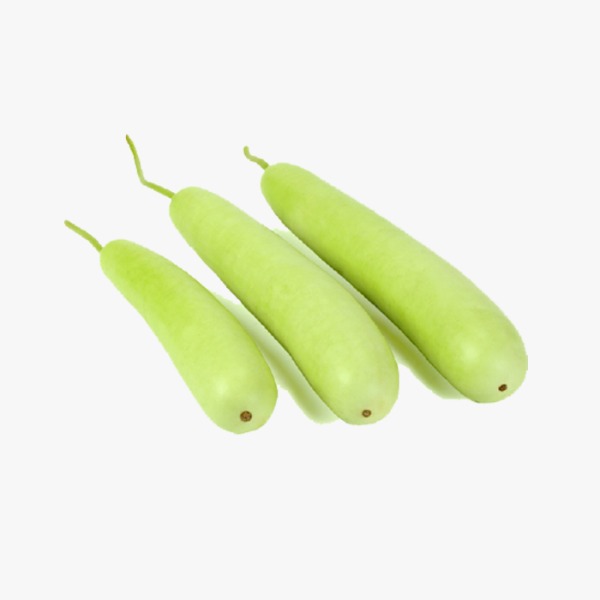 Round Bottle Gourd, for Food, Packaging Type : PP Bag