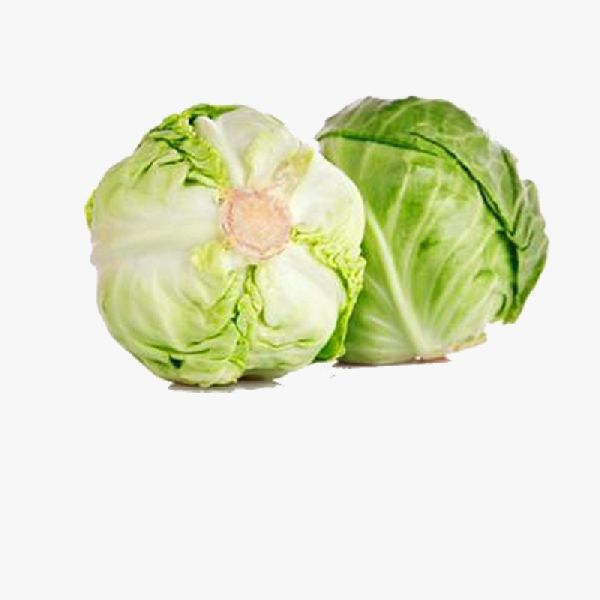 Round Organic Cabbage, for Human Consumption, Cooking, Packaging Size : 25 Kg