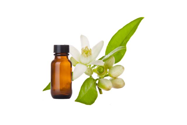 Neroli Oil