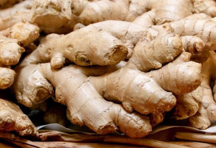 Organic Ginger O, for Cooking, medicine, Packaging Type : Gunny Bags
