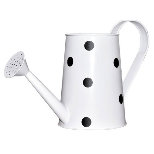 Coated Metal Sheet Polka Dot Watering Can, Storage Capacity : 2 Ltr.