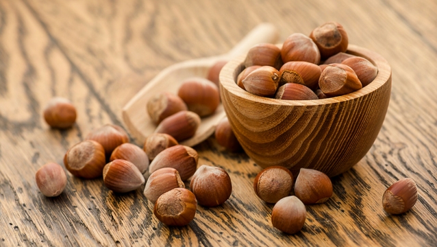 Brown Hazelnuts, for Making Oil, Edible, Packaging Type : PP Bag