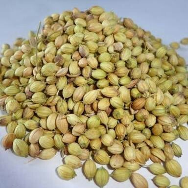 Organic coriander seeds, for Agriculture, Cooking, Packaging Type : PP Bags