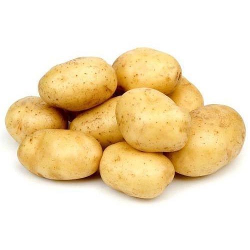 Organic fresh potato, for Cooking, Snacks, Feature : Mild Flavor