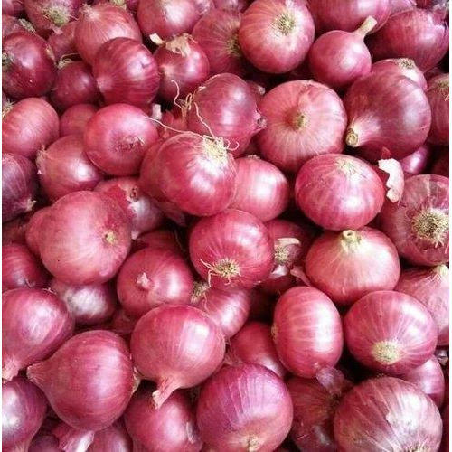 Organic fresh red onion, for Cooking, Packaging Size : 18-50 Kg