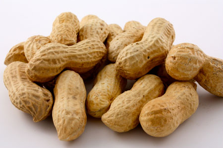 Organic Shelled Peanuts, for Making Oil, Making Snacks, Feature : Excellent Source Of Nutrients