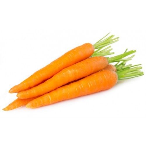 fresh carrot