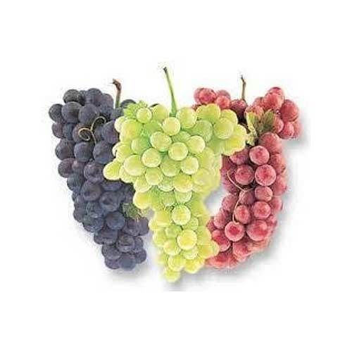 fresh grapes