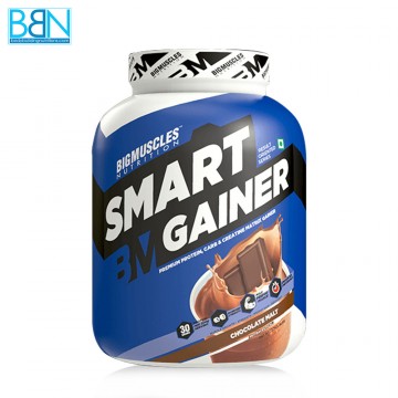 Big Muscles Nutrition Smart Gainer