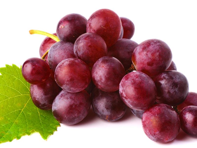 Organic Fresh Red Grapes, Variety : Sharad Seedless