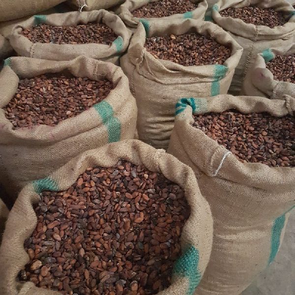 Sundry Cocoa Beans