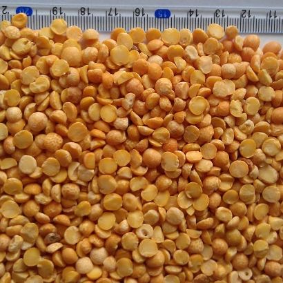 Yellow Split Peas