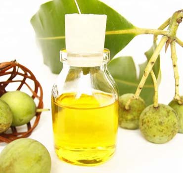 Organic Tamanu Oil, for Hair, Skin, Packaging Size : 1-5 Kg, 10-20 Kg, 5-10 Kg
