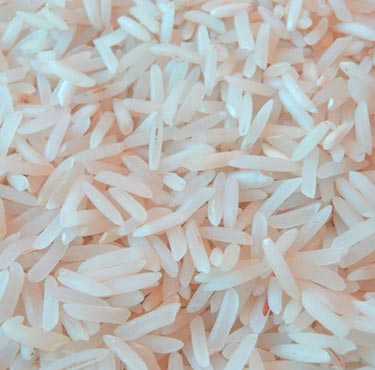 Organic 1401 Basmati Rice, for Cooking, Variety : Medium Grain