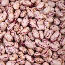 Organic Light Speckled Kidney Beans, for Cooking