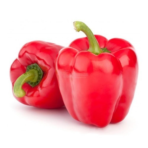 Fresh Red Capsicum, Packaging Type : Plastic Bag