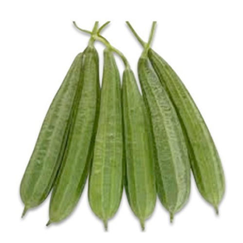 Fresh Snake Gourd, Shelf Life : 5-7 Days