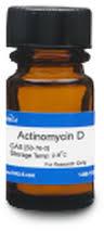 Actinomycin D