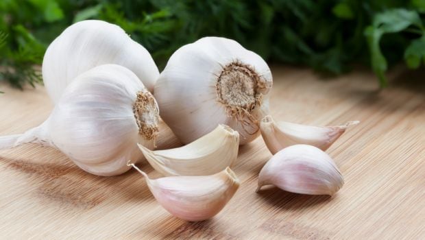 Fresh garlic, Certification : APEDA