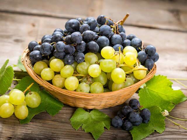 Common fresh grapes, Shelf Life : 7-10days