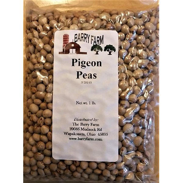 Best Quality Whole Pigeon Peas