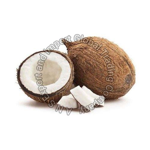 Fresh , Husked & Semi-Husk Coconut, for Cosmetics, Medicines, Pooja, Feature : Free From Impurities
