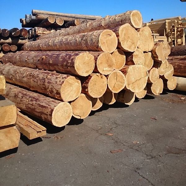 Non Polished Pine Wood Logs, for Boats, Door, Making Furniture, Feature : Accurate Dimension, High Strength