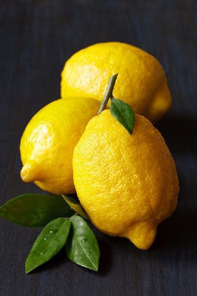 Organic Fresh Lemon, for Pickles, Drinks, Feature : Easy To Digest, Natural Taste