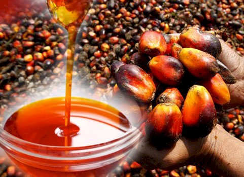 Palm Oil, for Cooking, Feature : Good Quality, Nice Fragrance