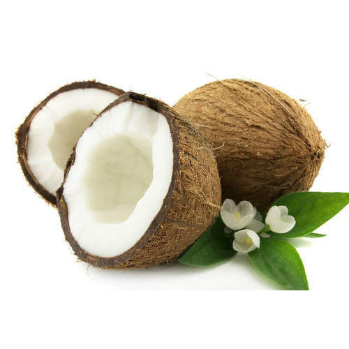 Organic Fresh Coconut, for Cosmetics, Medicines, Pooja