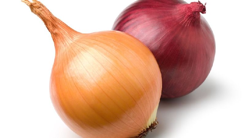 Organic fresh onion, Color : Light Brown, Light Red, Red