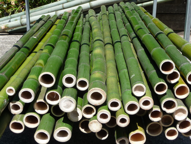 Green Bamboo Poles, for Camping, Length : 4.5mtr